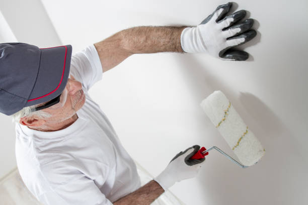 Best Post-Construction Mold Inspection  in Prospect, OH
