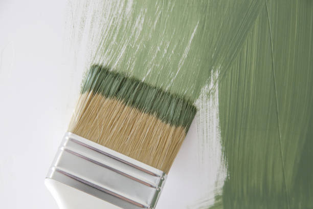 Best Mold Documentation for Insurance Claims  in Prospect, OH