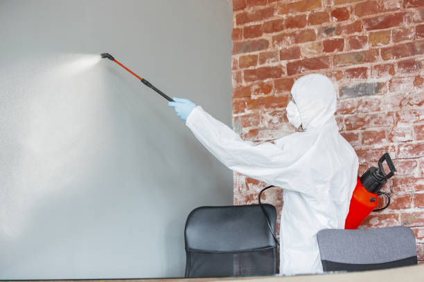 Professional Mold Removal in Prospect, OH