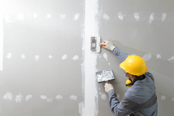 Mold Documentation for Insurance Claims in Prospect, OH