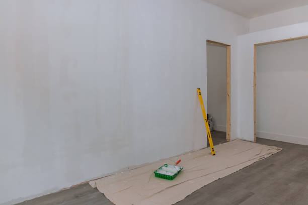 Best Attic Mold Removal  in Prospect, OH