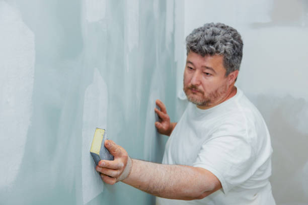 Best Mold Removal for HVAC Installations  in Prospect, OH