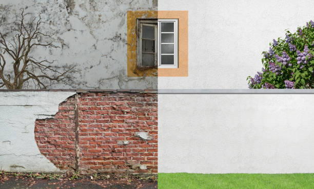 Best Environmental Consulting for Mold Prevention  in Prospect, OH