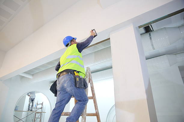 Best Emergency Mold Remediation  in Prospect, OH