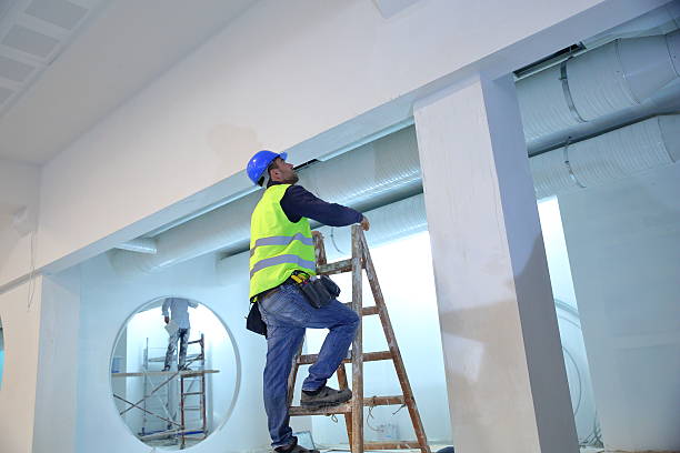 Best Emergency Mold Remediation  in Prospect, OH